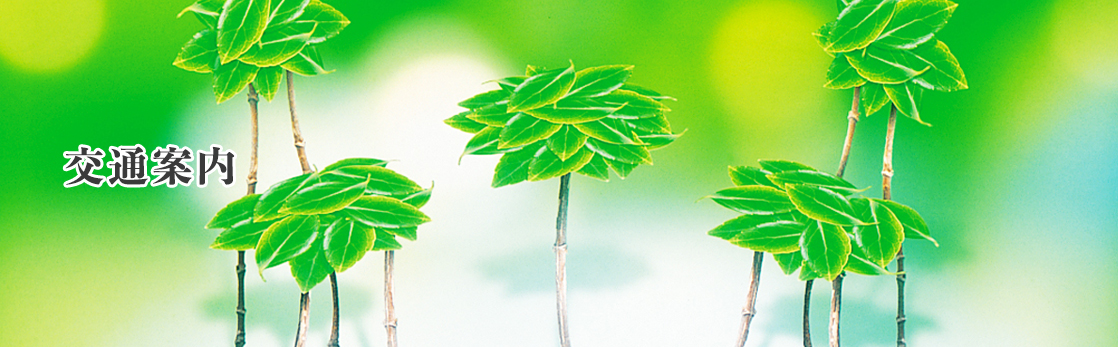 交通案内