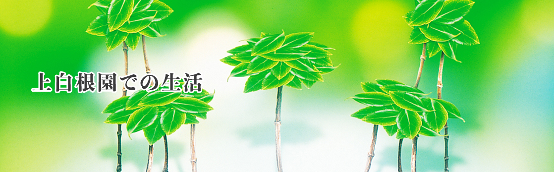 上白根園での生活